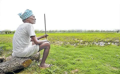 rains-farmers